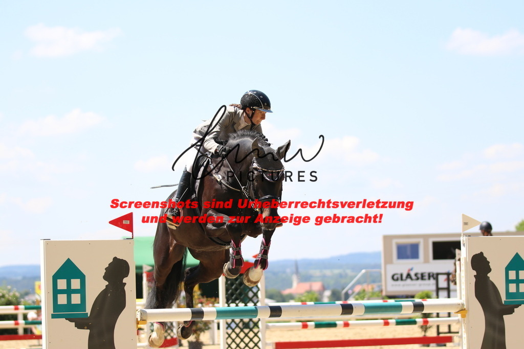 IMG_2456 | lmwpictures - Realisiert mit Pictrs.com