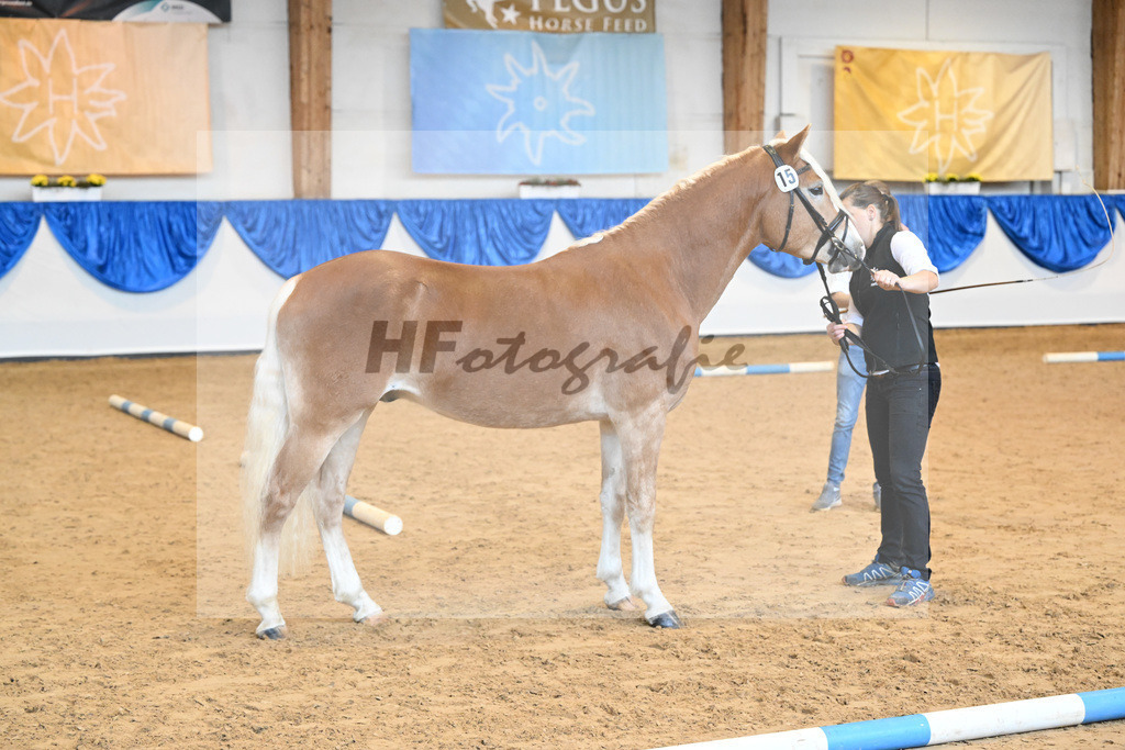 Kat-Nr. 15 Stubai v. Sternzauber_Meier_60220717 | hf-fotografie - Realisiert mit Pictrs.com