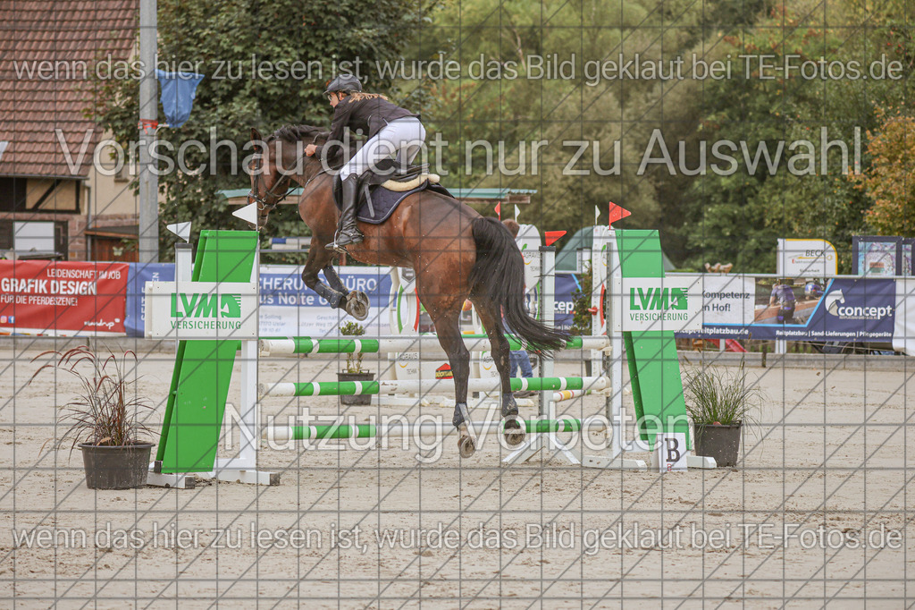 2025-09-22_09-37-41_MG_3988 | TE-Fotos