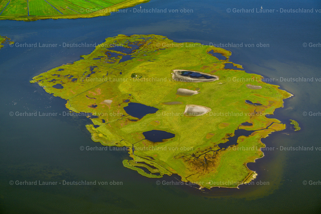 3638191 | Nationalpark Vorpommersche Boddenlandschaft, Insel Oie bei Zingst 25.08.2016 Salzgrasland- Insel und Vogelschutz- Gebiet in Zingst an der Ostseeküste im Bundesland Mecklenburg-Vorpommern, Deutschland. r