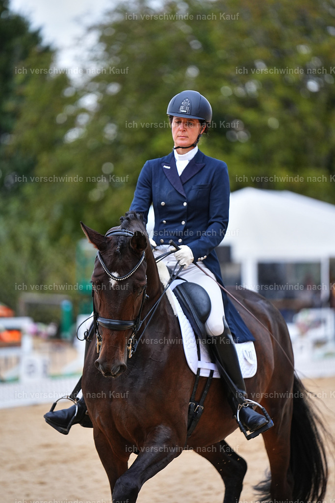 8_1-087-Klasse S_  -Marixx-4115 | working equitationturnier fotograf videograf stoibphotography marixx film working equitation deutschland reitsport turnierfotografie eventfotografie equestrian events