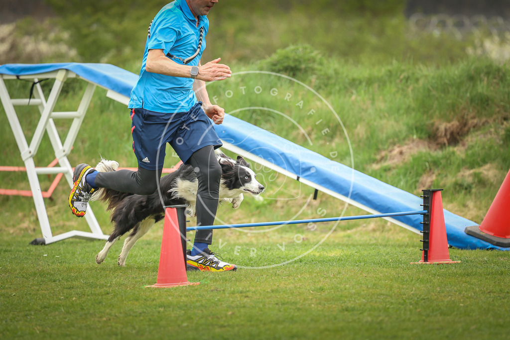 Pfotenfotografie_0L8A0084 | Hundefotografie, Tierfotograf, Pfotenfotografie, Fotoshooting Hund, Hunde Portrait, Hundesport, Hundeportraits, Heideshooting, Hunde, Sportfotograf, Hundefotograf, Turnierhundsport, THS,  - Realisiert mit Pictrs.com