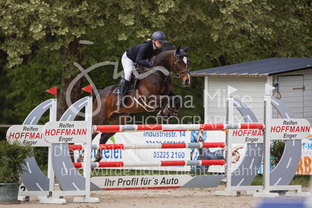 250504_SpengeW_M2-Spr-447 | Deine schönsten Turniermomente als professionelle Fotos! Entdecke hochwertige Pferdesport-Fotografie im Online-Shop. Jetzt Fotos finden & bestellen!