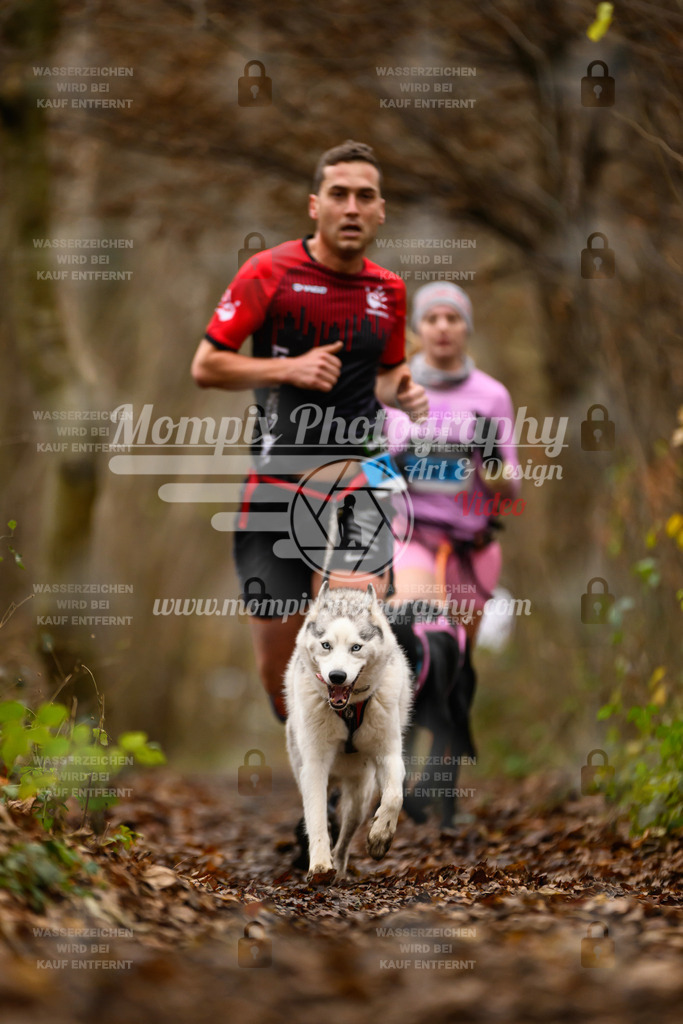 MompixPhotography_Eschau2024_CCC-34 | PayLife