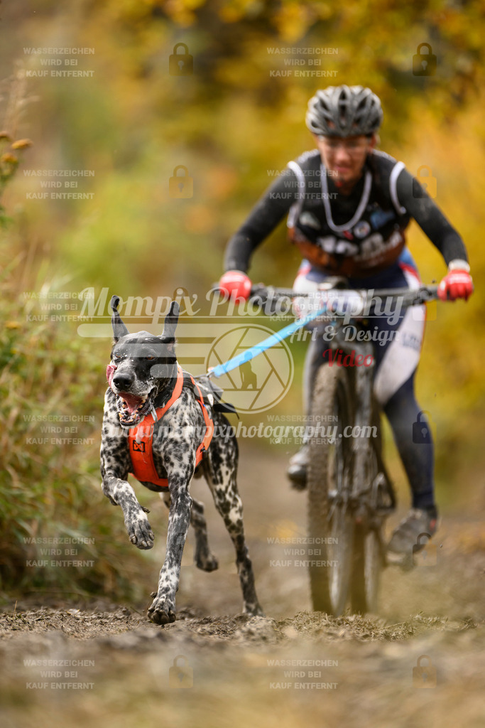 MompixPhotography_ICF_WC_2024_SA_Bike_-117 | PayLife