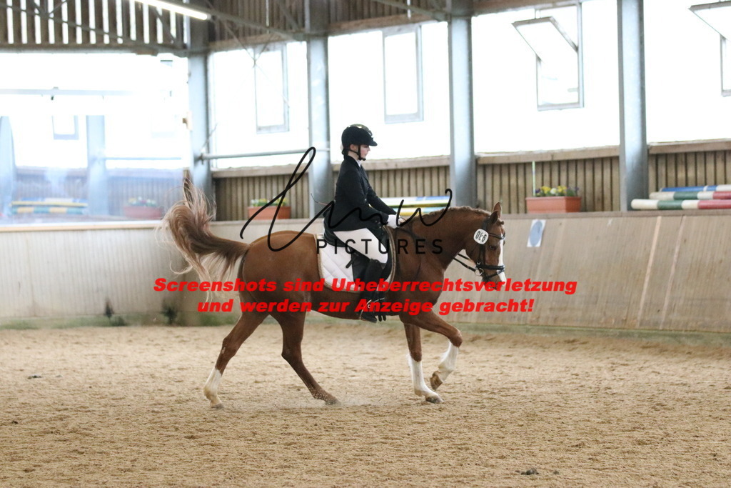 IMG_4631 | lmwpictures - Realisiert mit Pictrs.com