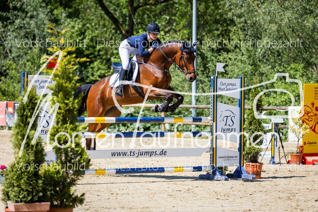 Donop24-L-Spr-029 | MomenTaufnahmen Pferdesportfotos