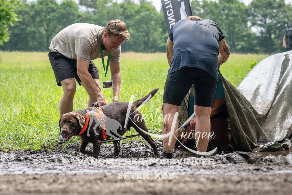 1105_ZZ91239 | kk-dogfotos