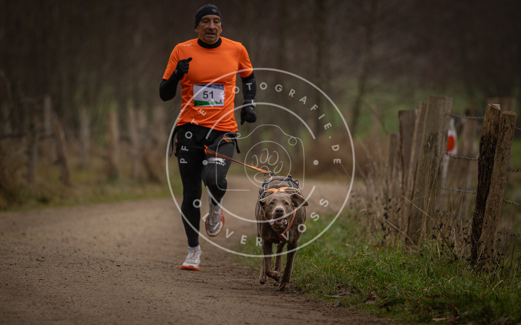 Pfotenfotografie_DV3A2848 | Hundefotografie, Tierfotograf, Pfotenfotografie, Fotoshooting Hund, Hunde Portrait, Hundesport, Hundeportraits, Heideshooting, Hunde, Sportfotograf, Hundefotograf, Turnierhundsport, THS,  - Realisiert mit Pictrs.com