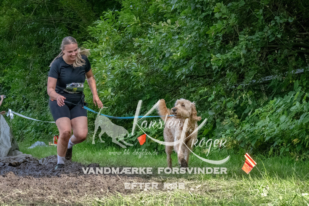 1702_ZZ90910-Bearbeitet | kk-dogfotos