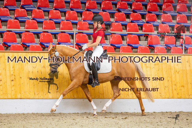SLP 2 (537 von 1007) | mandyhollmannphotographie