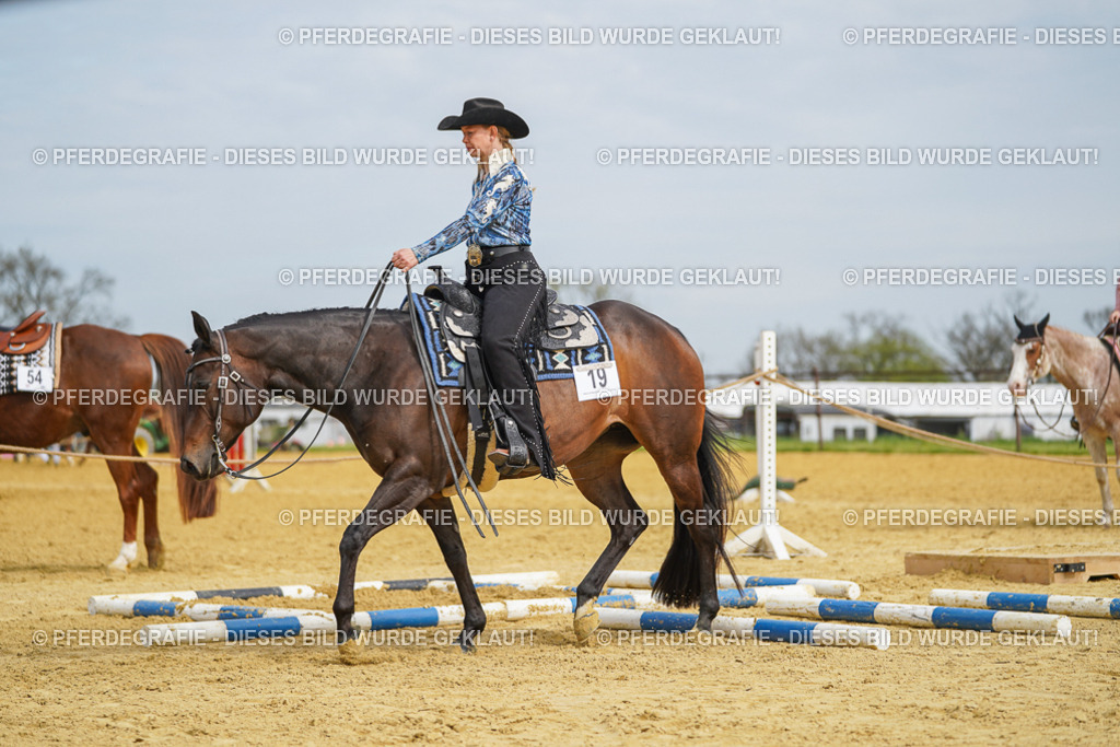 DSC03607 | Pferdegrafie