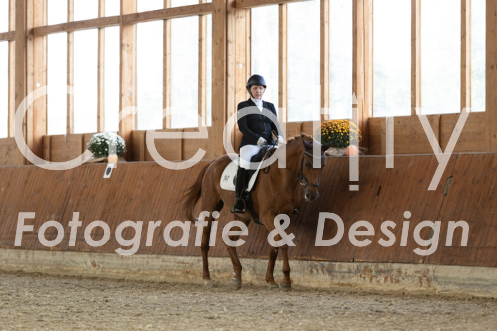 IMG_5783 | Creatify Fotografie