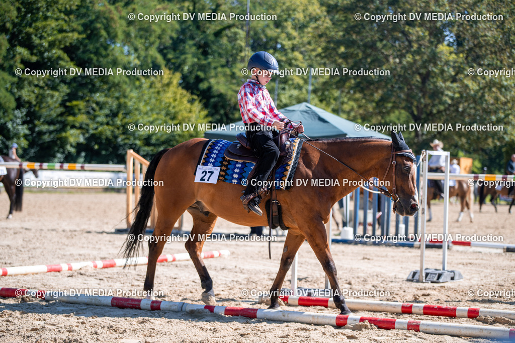 ZS1_0906 | dv-media-shop - Realisiert mit Pictrs.com