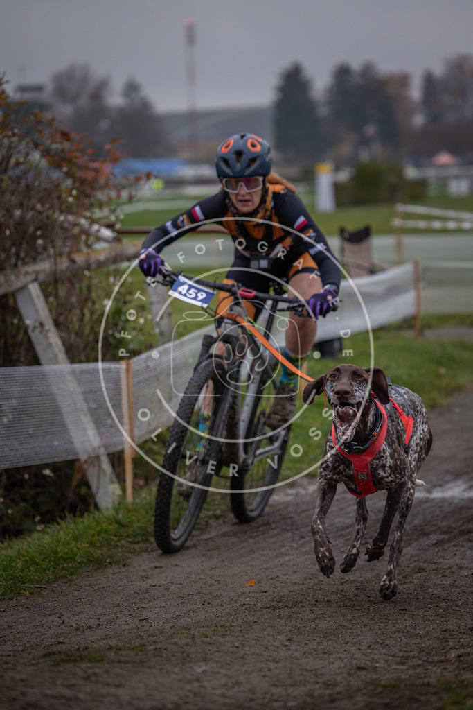 CaniXpix_0L8A1585 | Hundefotografie, Tierfotograf, Pfotenfotografie, Fotoshooting Hund, Hunde Portrait, Hundesport, Hundeportraits, Heideshooting, Hunde, Sportfotograf, Hundefotograf, Turnierhundsport, THS,  - Realisiert mit Pictrs.com
