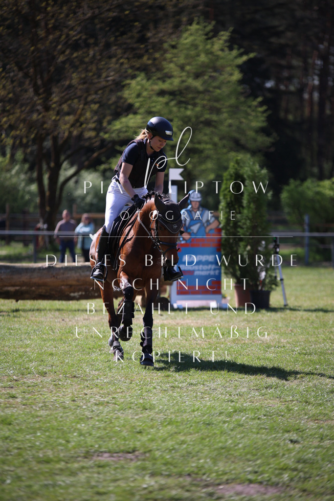 IMGT8777 | pl-fotografie