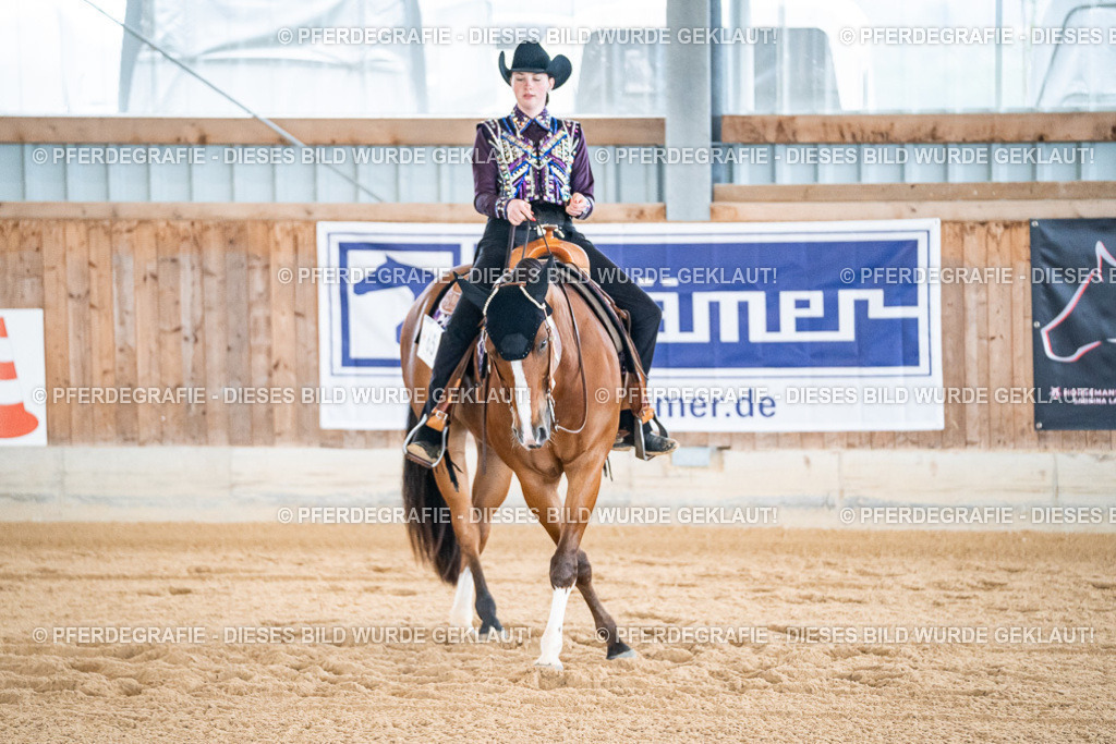 DSC01537 | Pferdegrafie