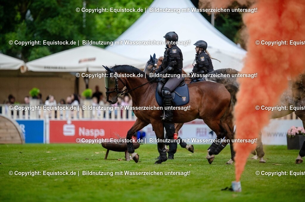 20250606_Lange-Pferdenacht_0751 | Foto: Thomas Hartig