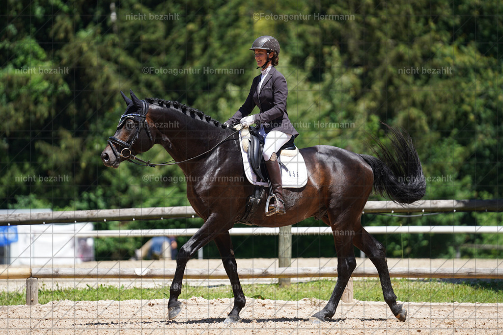 20240705-FAH03704 | Turnierbilder von Grafing, Reitsportbilder, Turnierfotos, Turnierfotografen Bayern, Pferdefotograf, Fotoagentur Herrmann