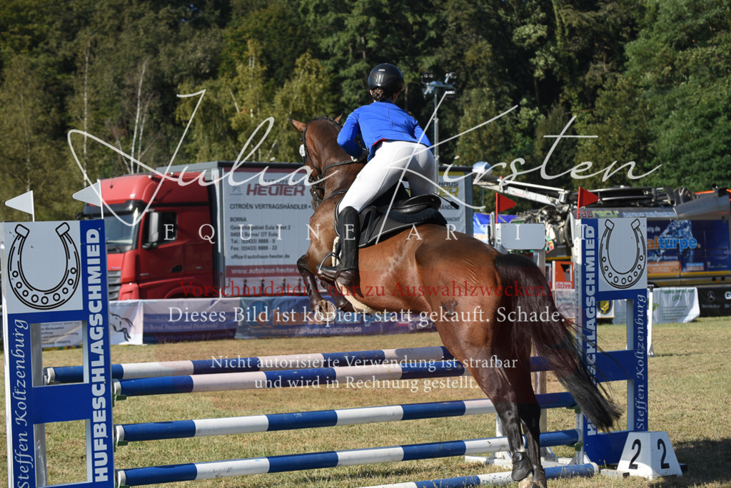 DSC_5305 | Pferde- und Turnierfotografie in Westsachsen. Pferdeportraits, Auftragszeichnungen und intuitive Kunst.