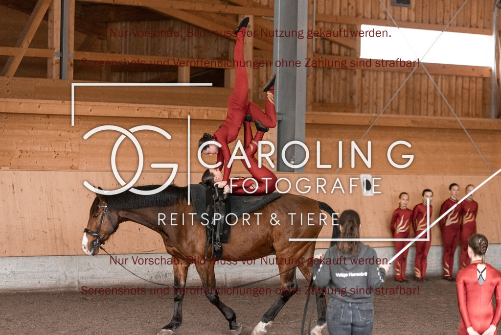 DSC_2102 | Turnierfotografin Carolin Gieschke,Reitsport Turnierfotografie Carolin G Fotografie | Turnierfotos aus Kirchheim/Teck, Esslingen, Stuttgart und dem Bodenseekreis