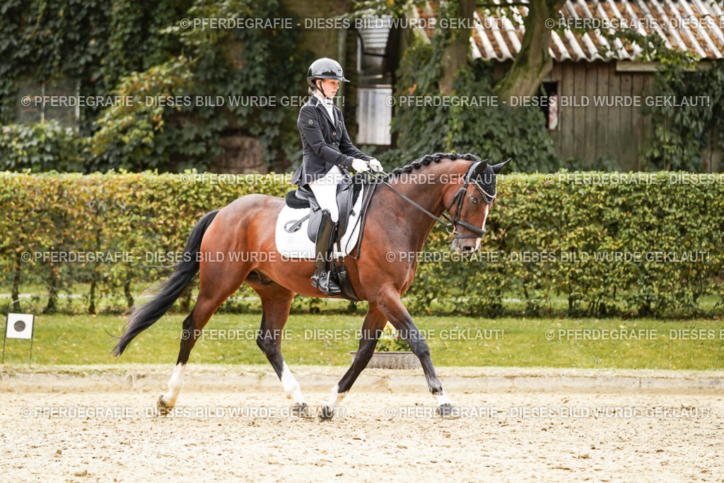 DSC02909 | Pferdegrafie