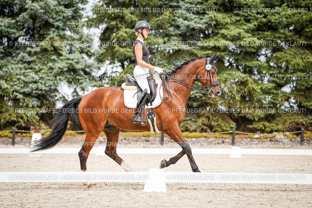 DSC05928 | Pferdegrafie