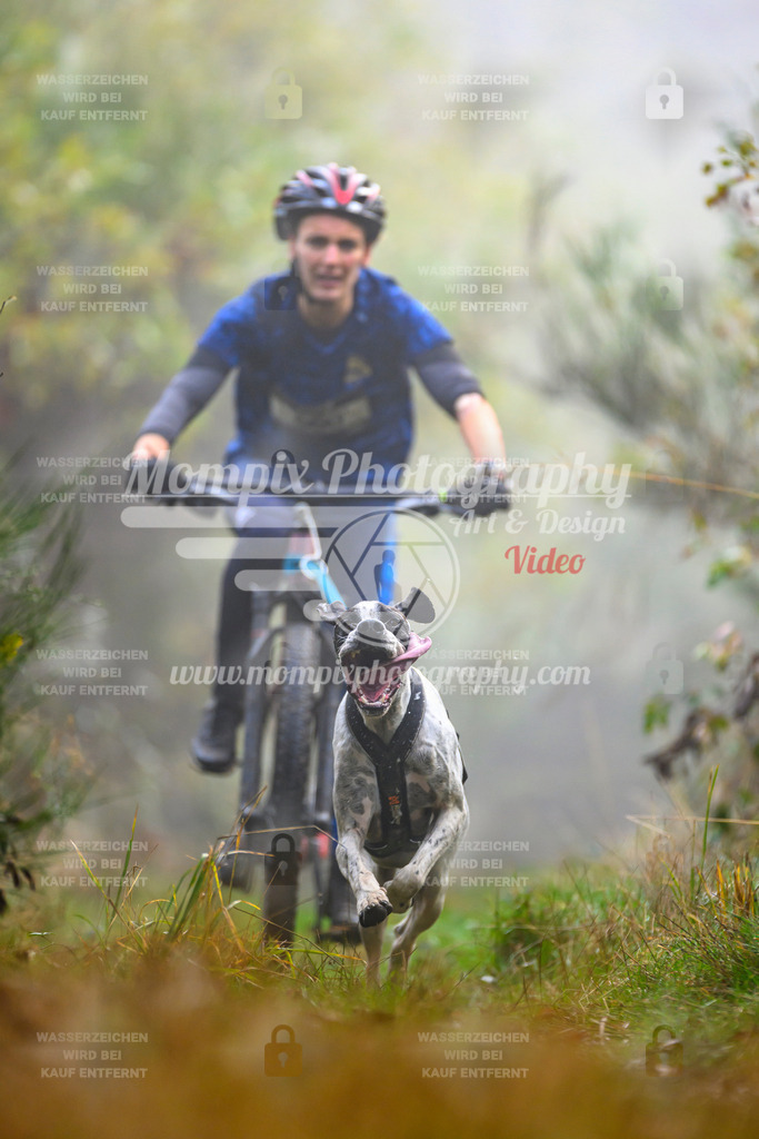 MompixPhotography_20TSB_E4_Bike-43 | PayLife