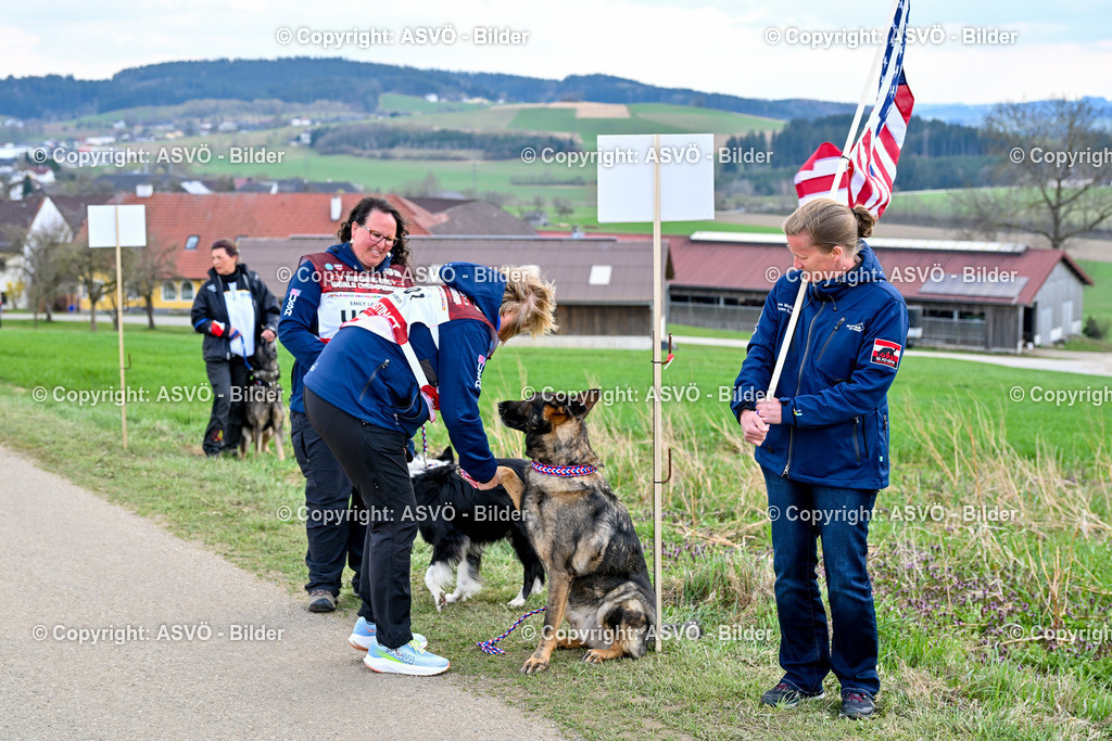 ASVÖ_ Tracking Dog World Championship 2025_ 05.04.2025-90 | bilder.asvo-sport - Realisiert mit Pictrs.com