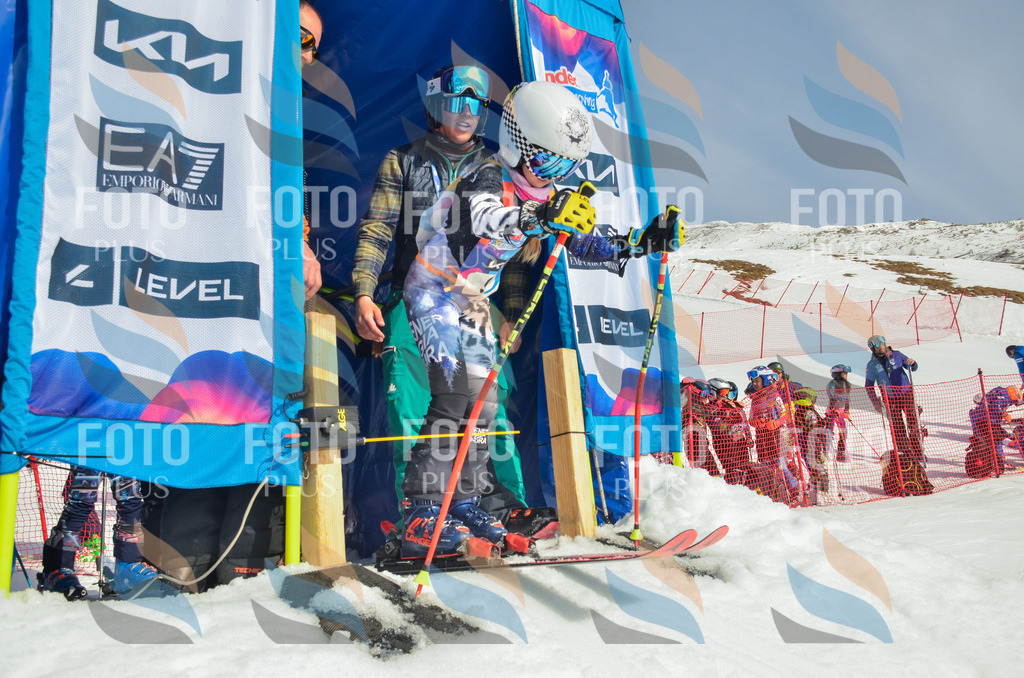 _ELE4526 | holidayphoto