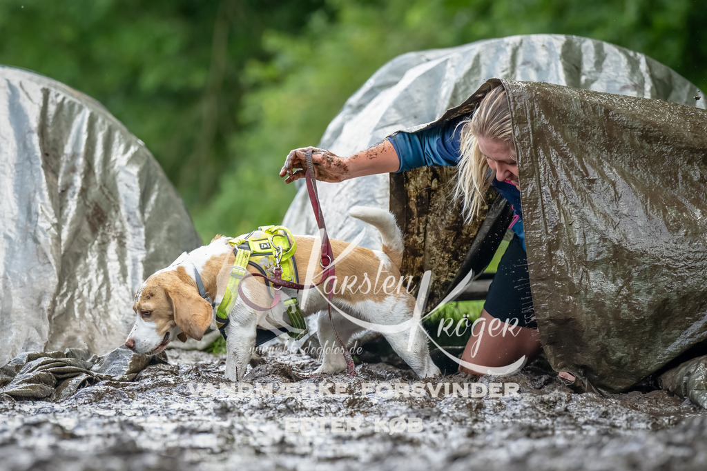 1141_ZZ93898-Bearbeitet | kk-dogfotos