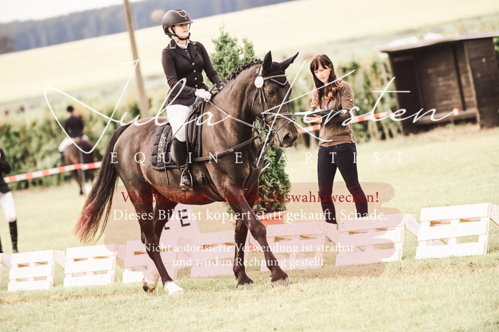 DSC_4879 | Pferde- und Turnierfotografie in Westsachsen. Pferdeportraits, Auftragszeichnungen und intuitive Kunst.