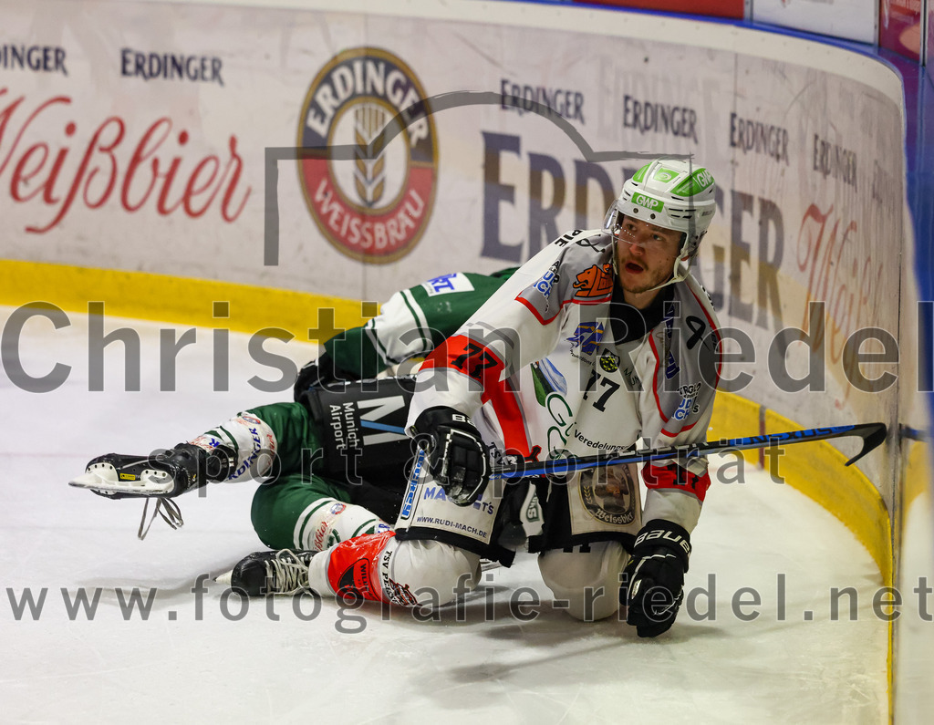 2023-10-29_134_TSV_Erding_gegen_TSV_Peissenberg | Erding, Deutschland, 29.10.2023:
Eishockey, Bayernliga Vorrunde 2023 / 2024, 5. Spieltag, TSV Erding gegen TSV Peißenberg, Endergebnis: 

Foto: Christian Riedel / fotografie-riedel.net