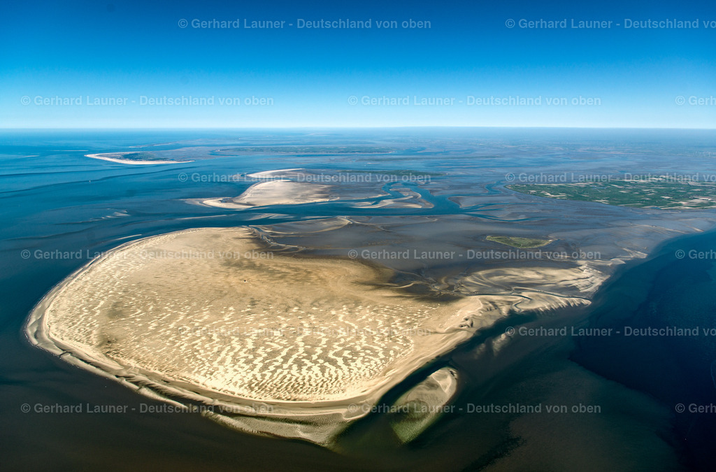 3801561 | Süderoogsand, Nationalpark Schleswig-Holsteinisches Wattenmeer