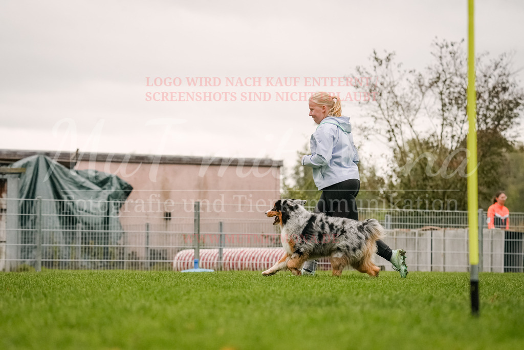 20251005_THS_Turnier-502 | MuT (Mensch und Tier) mit Mona - Fotografie und Tierkommunikation - Realisiert mit Pictrs.com