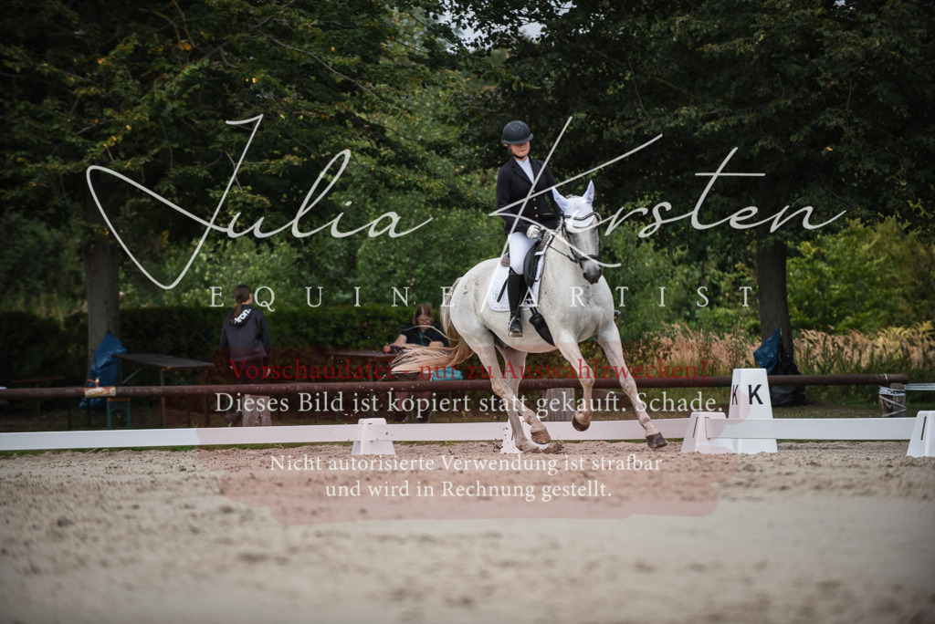 DSC_8488 | Pferde- und Turnierfotografie in Westsachsen. Pferdeportraits, Auftragszeichnungen und intuitive Kunst.