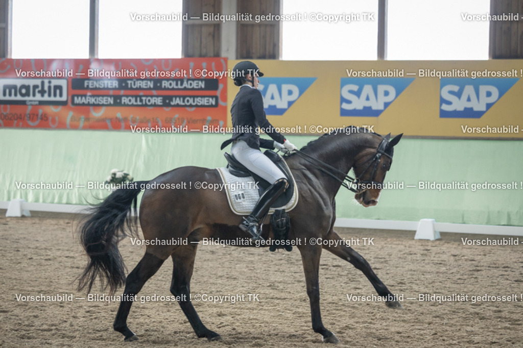 _D5A4280 | Emotionale Pferde- & People-Fotografie rund um Heidelberg, Leimen & Umgebung. Natürliche Fotos von Pferd, Mensch & Familie. Jetzt Termin sichern!