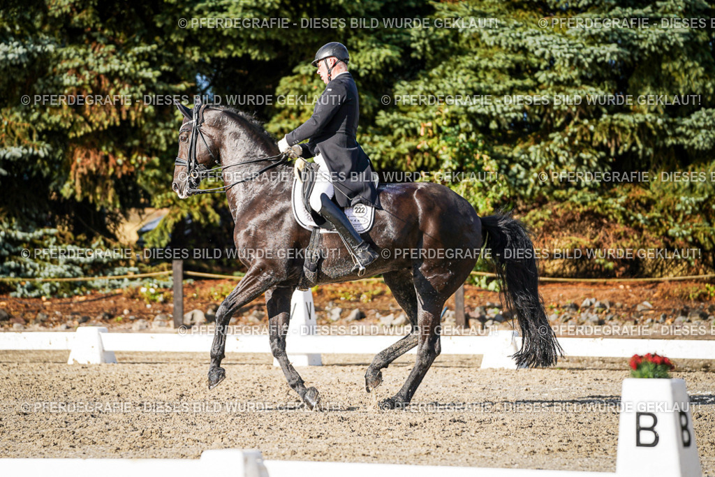 DSC00821 | Pferdegrafie