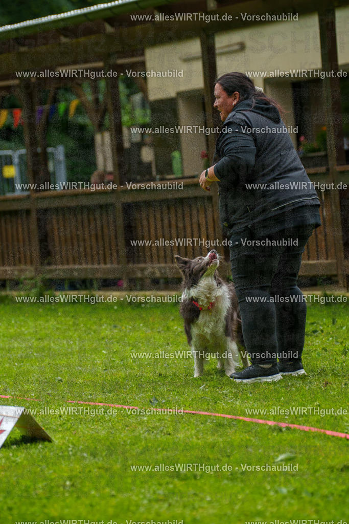 @allesWIRTHgut_Tierfotografie - www.allesWIRTHgut.de - 7R503536 | Professionelle Tierfotografie in Mönchengladbach von Daniel Wirth (allesWIRTHgut). Liebevolle & natürliche Bilder von Hunden & Katzen für unvergessliche Erinnerungen.