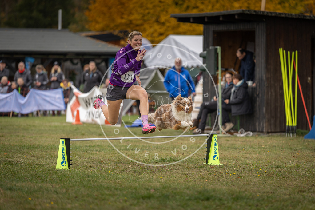 Pfotenfotografie_DV3A7372 | Hundefotografie, Tierfotograf, Pfotenfotografie, Fotoshooting Hund, Hunde Portrait, Hundesport, Hundeportraits, Heideshooting, Hunde, Sportfotograf, Hundefotograf, Turnierhundsport, THS,  - Realisiert mit Pictrs.com