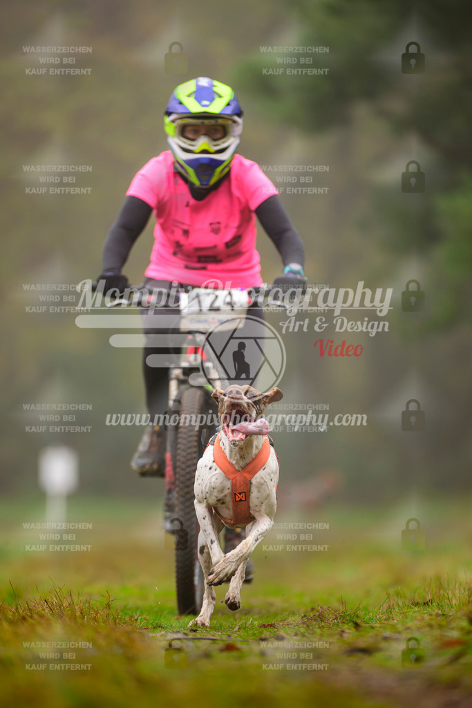 MompixPhotography_Bischwiller2025_Bike-57 | mompixphotography