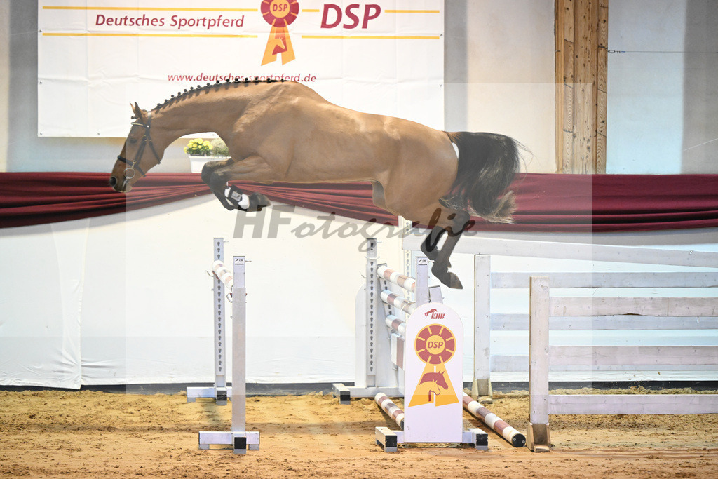 Kat-Nr. 53 v. Vingino_Bachl_66221188 | hf-fotografie - Realisiert mit Pictrs.com