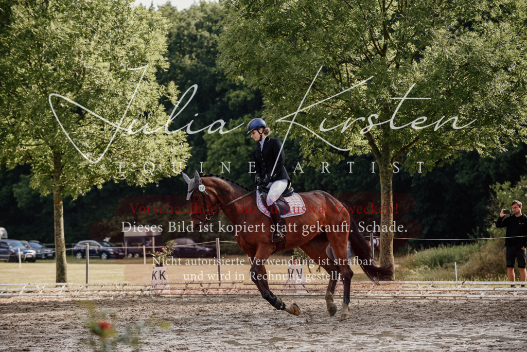 DSC_9042 | Pferde- und Turnierfotografie in Westsachsen. Pferdeportraits, Auftragszeichnungen und intuitive Kunst.