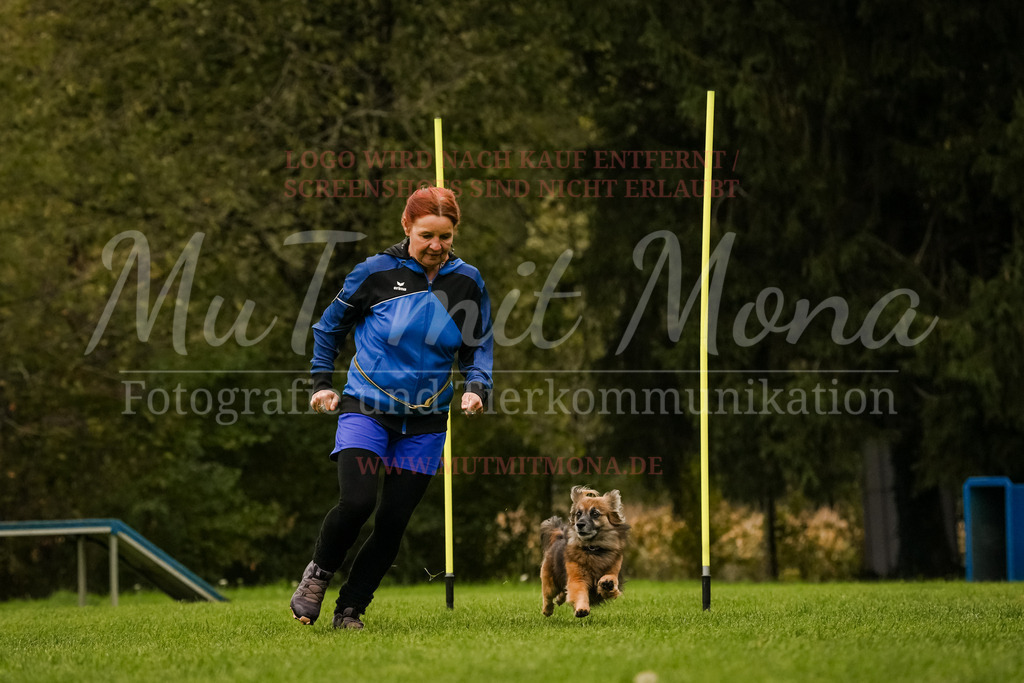 20251005_THS_Turnier-460 | MuT (Mensch und Tier) mit Mona - Fotografie und Tierkommunikation - Realisiert mit Pictrs.com