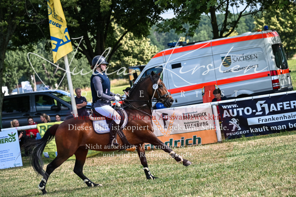 DSC_7999 | Pferde- und Turnierfotografie in Westsachsen. Pferdeportraits, Auftragszeichnungen und intuitive Kunst.