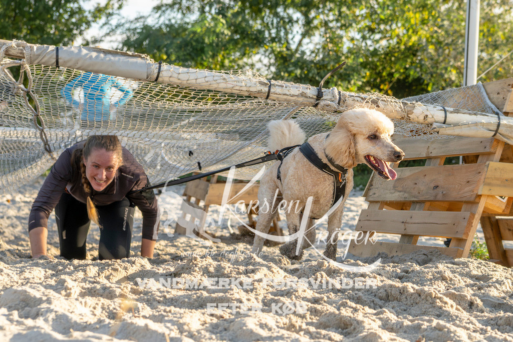 1653_ZZ90092 | kk-dogfotos