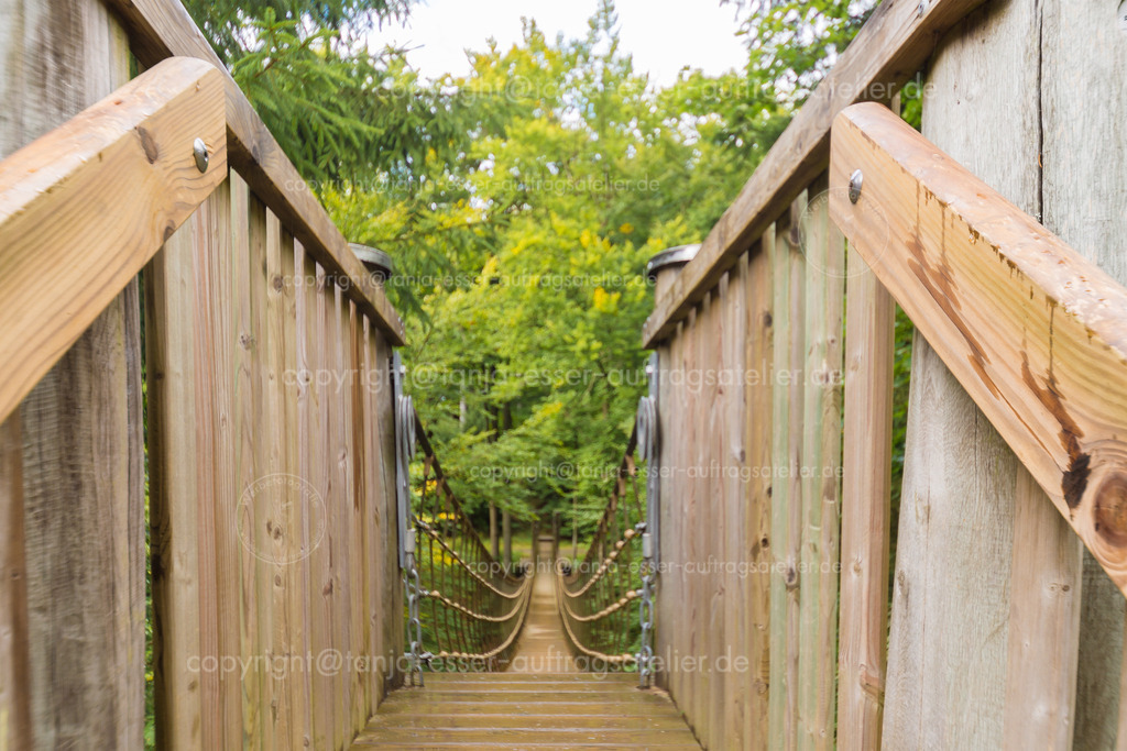 Erlebniswandern über eine Seilbrücke im Sauerländer Wald am Rothaarsteig | In einem Mischwald spannt sich eine Seilbrücke bis zum Horizont. Erlebniswandern auf dem Rothaarsteig in der Nähe von Schmallenberg. Fotografiert mit Weitwinkel Objektiv.