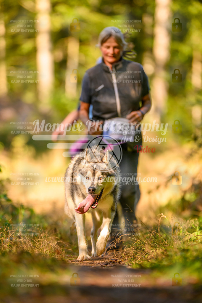 MompixPhotography_Yens2025_B3-61 | PayLife