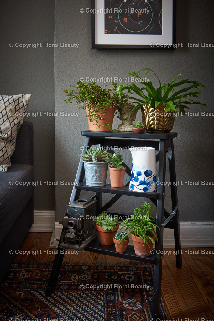 Pflanzentreppe_02 | Onlineshop für hochwertige Wandbilder. Bei uns findet ihr selbstgestaltete Blumenmotive. Das perfekte Geschenk, als Praxisdeko oder die eigene Wohnung. Alle künstlerischen Blumenfotos sind auf Leinwand, FineArtPrint, Kunstdruck und vielem mehr zu erwerben - Realisiert mit Pictrs.com