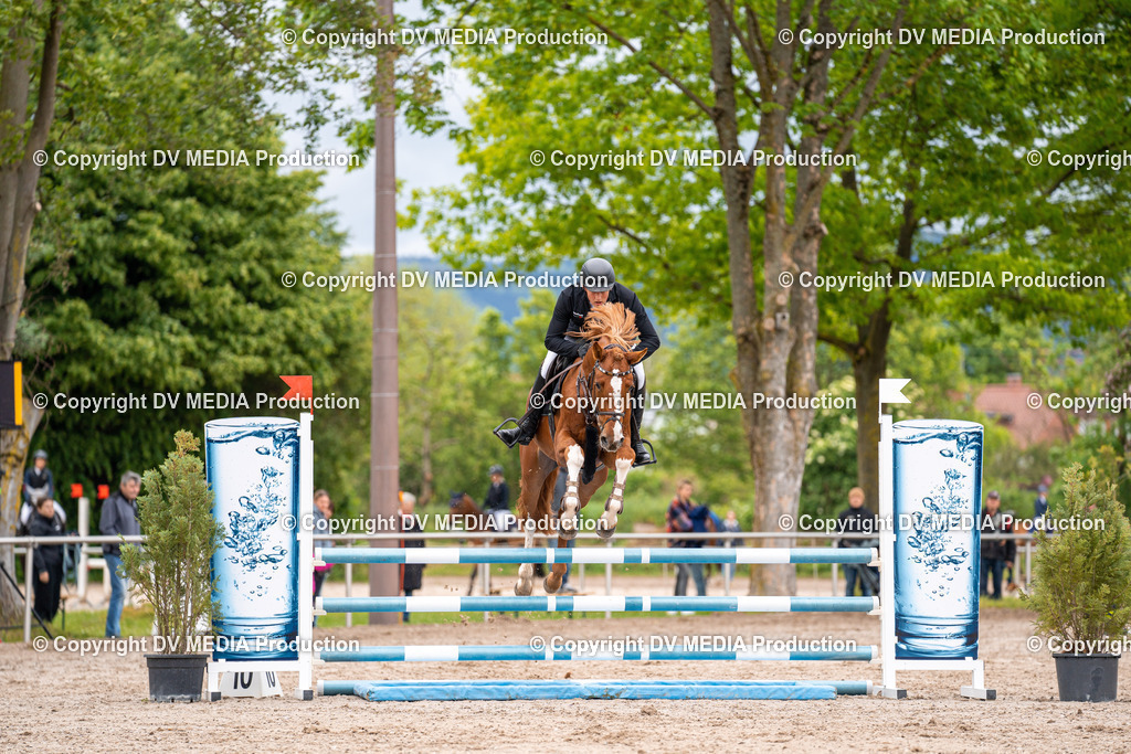 Eppelheim Tag 1-34 | dv-media-shop - Realisiert mit Pictrs.com